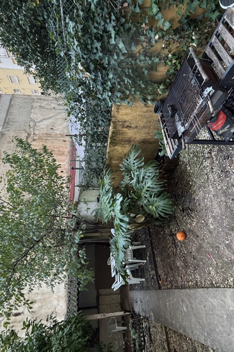 Cozy Lisbon Home with Big Garden - 11