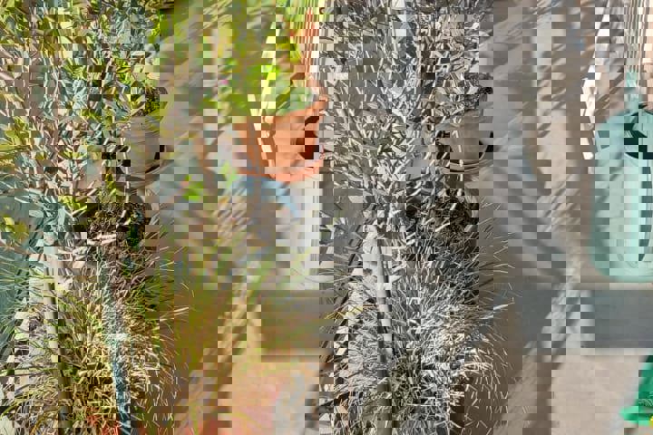 Cozy apartment with 2 bedrooms, terrace & Balcony - 11