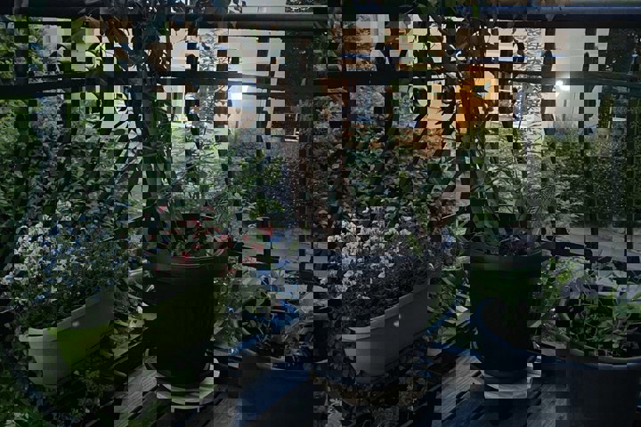 Charmante Altbauwohnung mit Balkon und Garten - 2