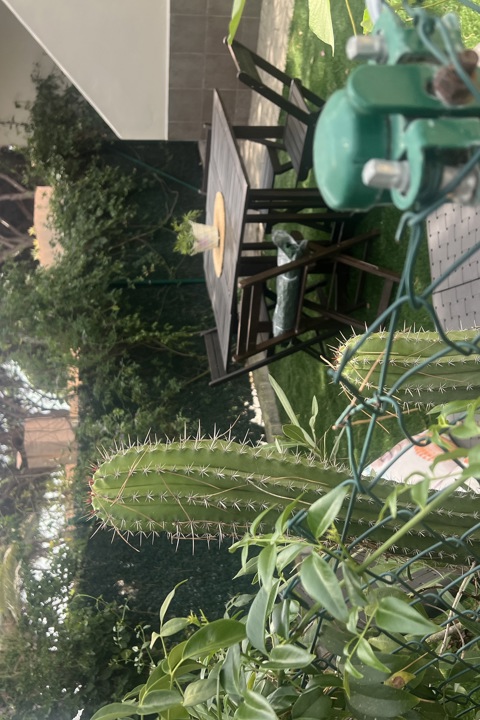 Flat next to the sea. One of best beaches in Spain - 4