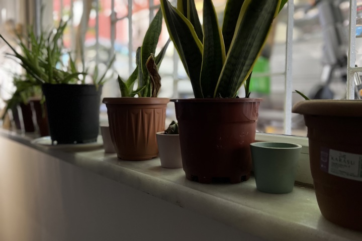 Istanbul Asian Side Boho Chic Apartment Home - 5