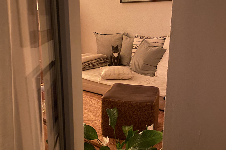 Appartment in Central Berlin Fhain - 4