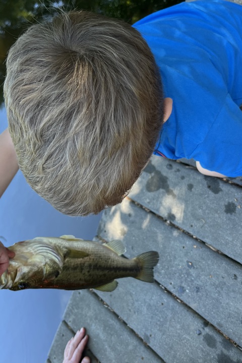 Lakefront oasis 15 miles from dc - 16