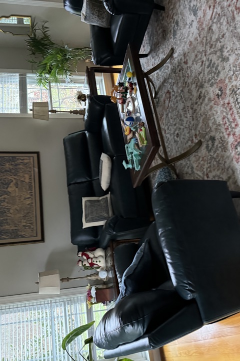 Lakefront oasis 15 miles from dc - 9