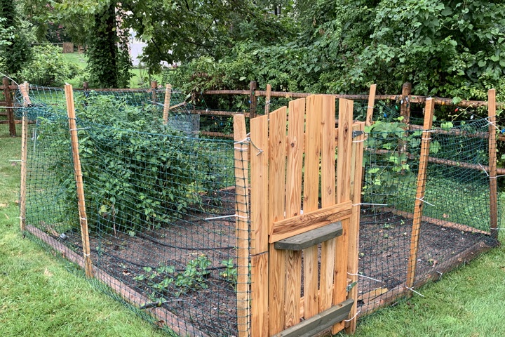 Lakefront oasis 15 miles from dc - 37