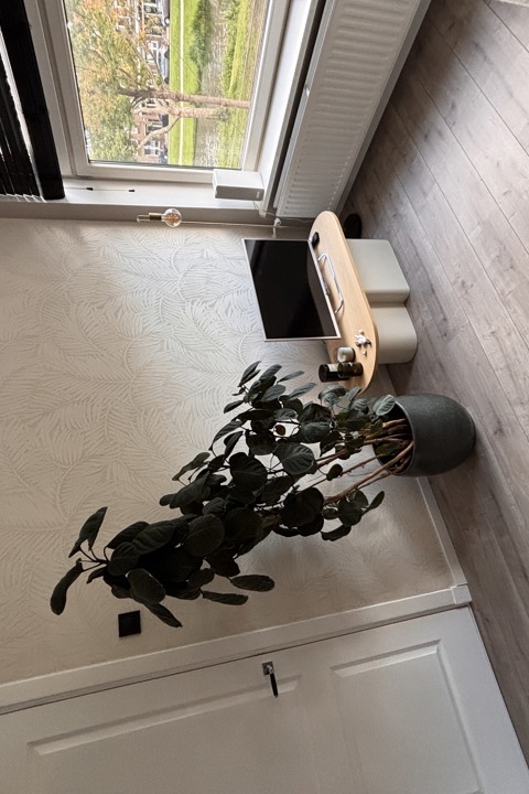 Spacious Scandinavian interior apartment Rotterdam - 2