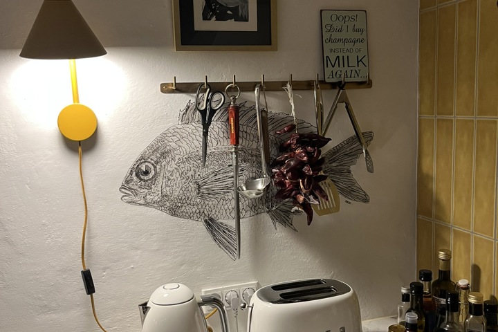 Hus ved strand & by - 7