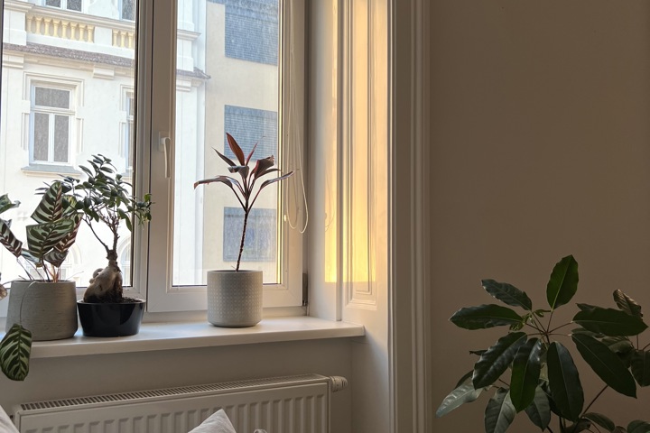 Charming Studio Apartment in Vienna - 1