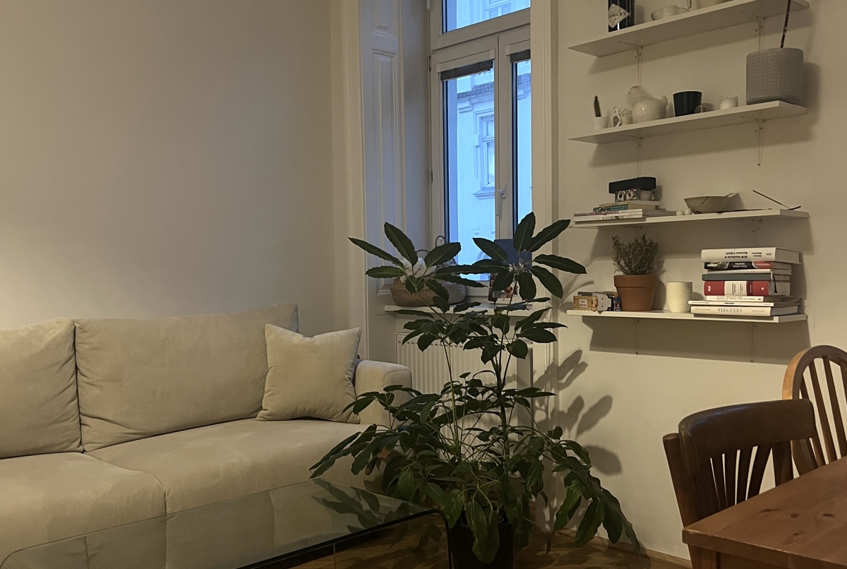Charming Studio Apartment in Vienna