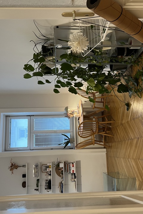 Charming Studio Apartment in Vienna - 10