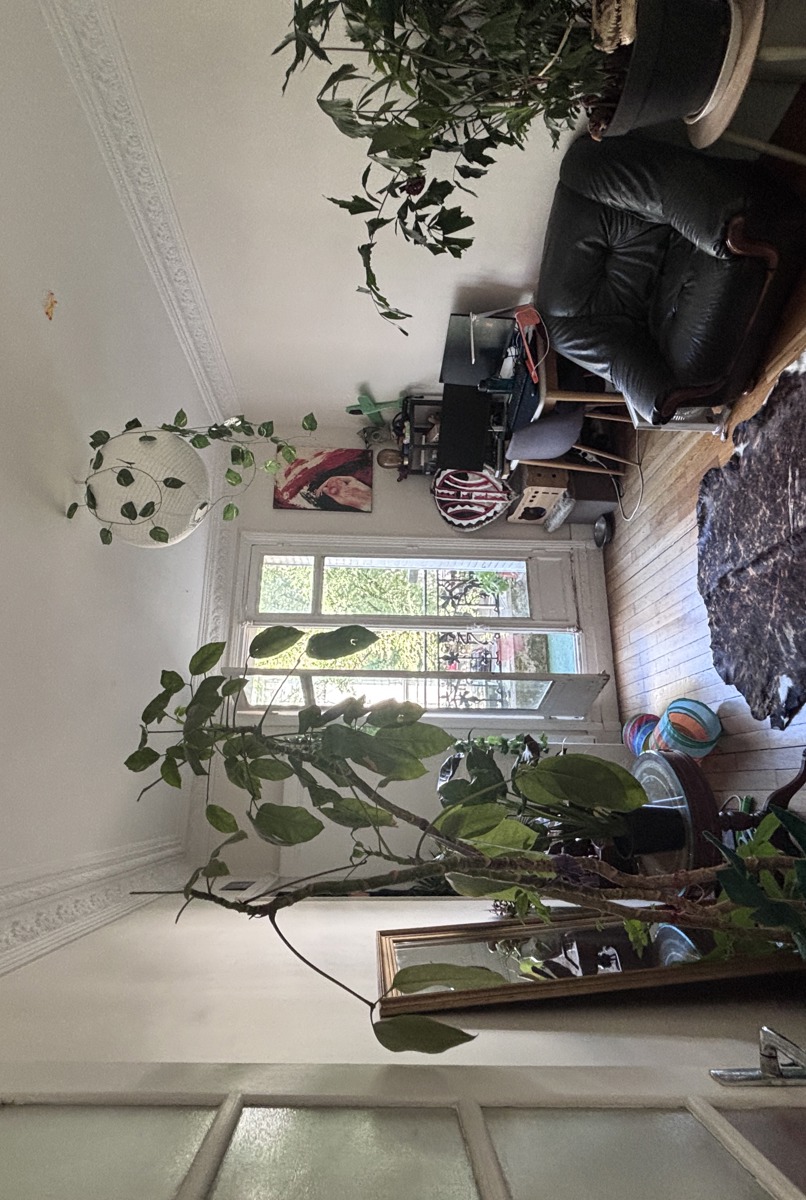 1 bedroom 35m2 Haussmanian Apart with balcony