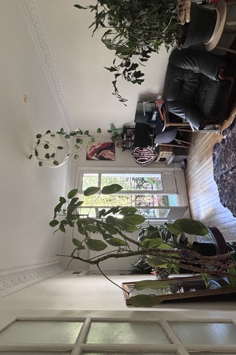 1 bedroom 35m2 Haussmanian Apart with balcony - 1