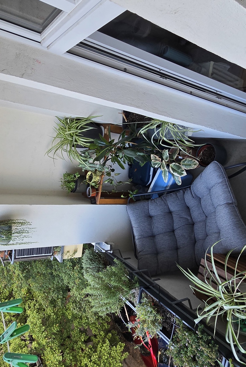 Berlin Prenzlauerberg 1 room apartment