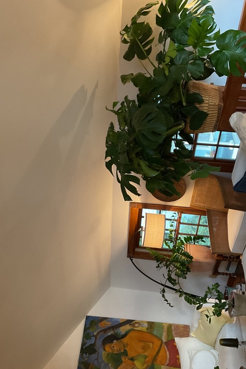 light-filled vaulted ceiling 2 rooms upstairs barn - 7