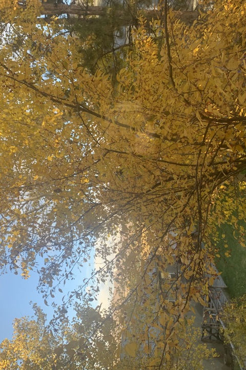 Sun Valley Area - 12