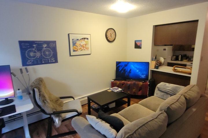 Apartment in Kitsilano, Beach + Mountains! - 7