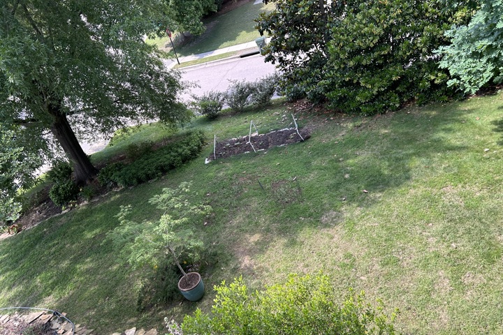 Raleigh Share - 5