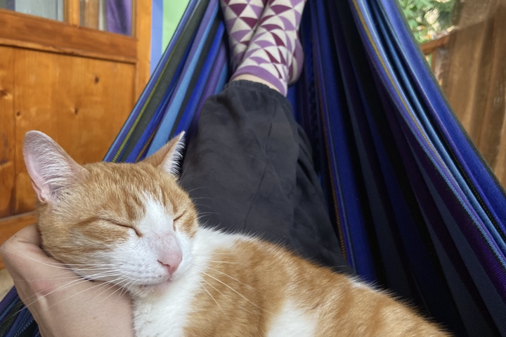 Dreamy Volcano Lake Cottage Retreat - 4