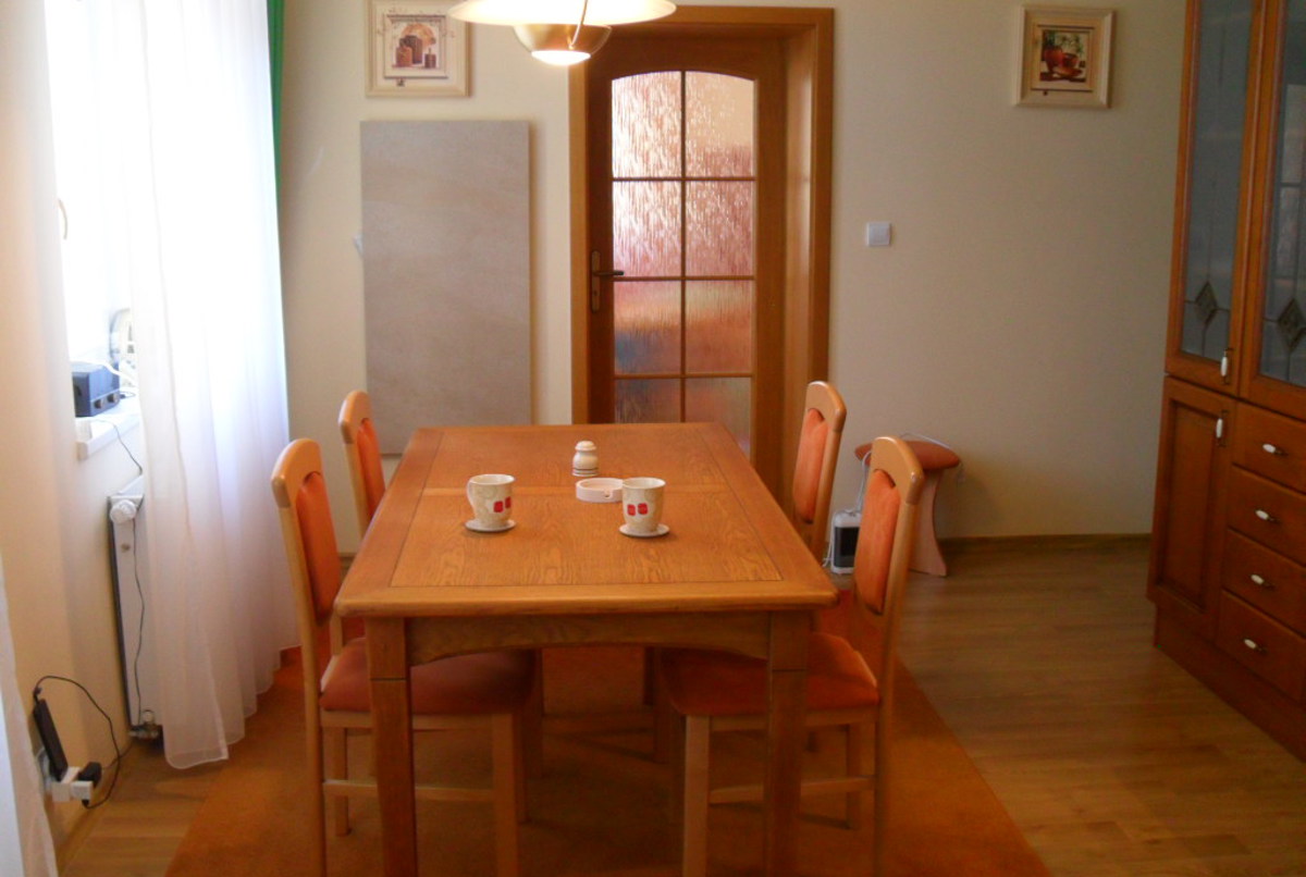 Spacious apartment in a Czech spa town