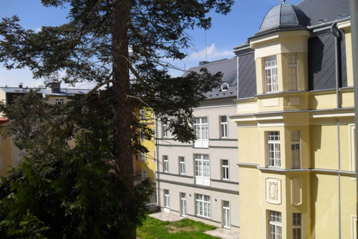 Spacious apartment in a Czech spa town - 1