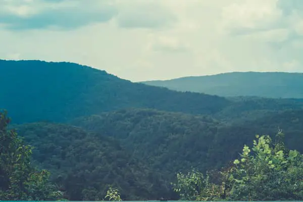 Home Swap Georgia (State) - Why Swaphouse Makes Georgia More Affordable