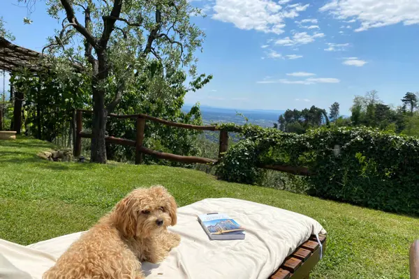 Home swapping with pets