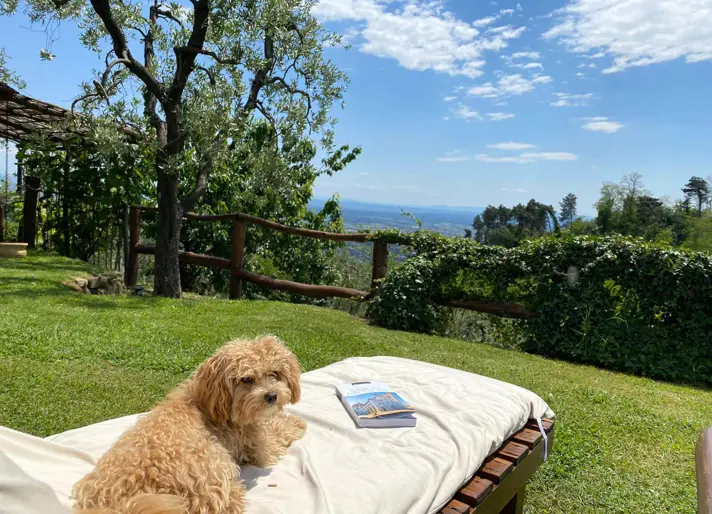 Home Swapping with Pets: Tips, Checklists & Best Practices