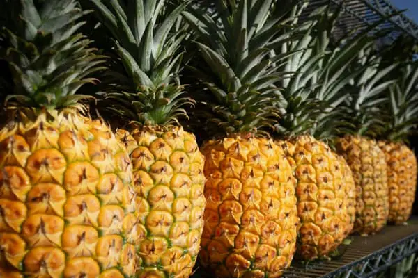 Home Swap Honolulu - Why Swapping Helps with Island Costs