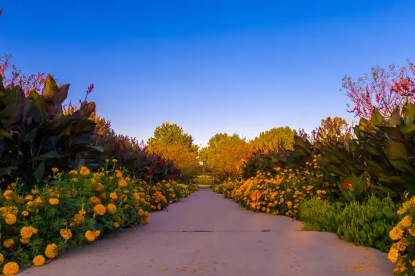Home Swap Illinois - Seasons That Shape the Mood