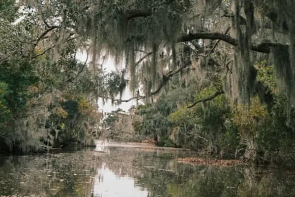 Home Swap Louisiana - A Slower Southern Stay