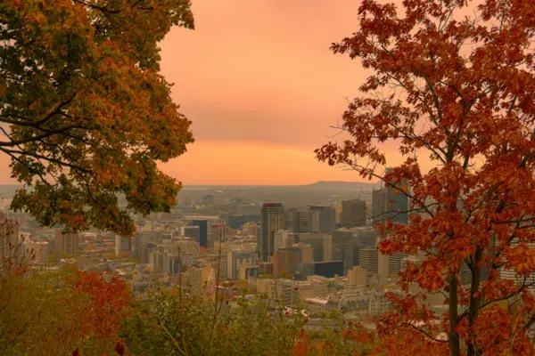 Home Swap Montreal - Discover the Charm of Montreal