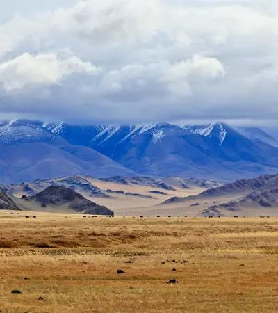 house swap in mongolia