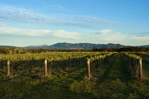 Home Swap New South Wales - When to Go and How to Move Around