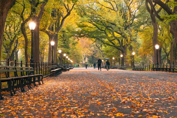 Home Swap New York - Four Seasons, Four Different Trips