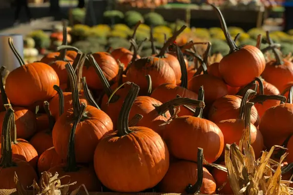 Home Swap North Carolina - Food Traditions Worth Traveling For