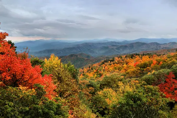 Home Swap North Carolina - Weekend Trips That Keep Changing the View
