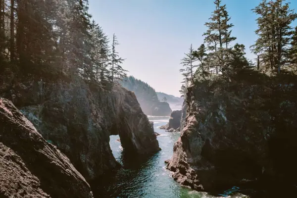 Home Swap Oregon - Forests, Food Carts, and Pacific Air