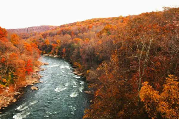Home Swap Pennsylvania - Seasons for Museums, Mountains, and Markets