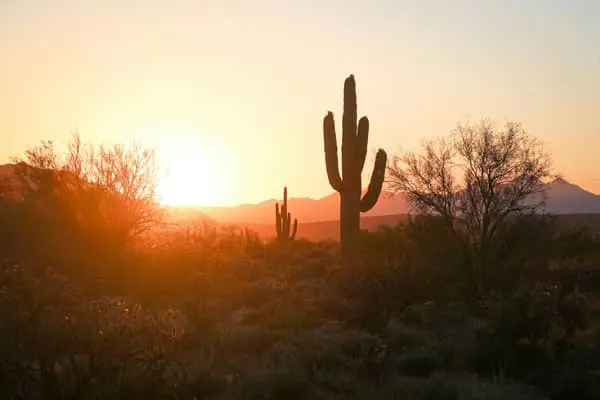 Home Swap Phoenix - Winter Sun, Summer Heat, and Honest Expectations