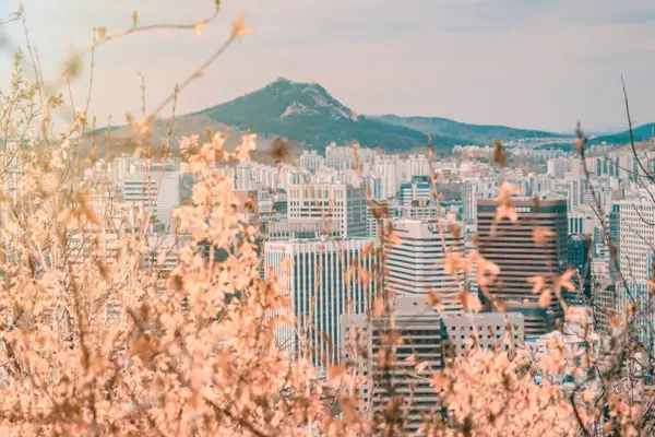 Home Swap Seoul - Seasons of Contrast