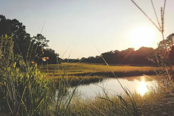 Home Swap South Carolina - Heat, Storms, and the Art of Pacing Yourself