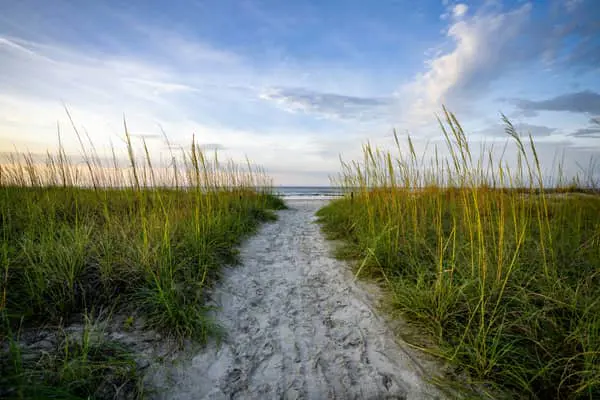 Home Swap South Carolina - A More Spacious Southern Stay