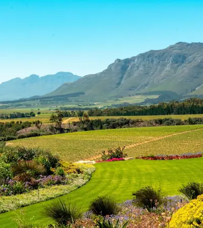 house swap in stellenbosch