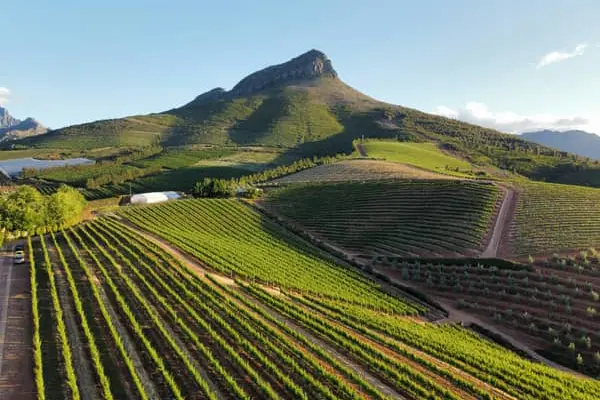 Home Swap Stellenbosch - Vineyards, Mountains, and Cape Dutch Light