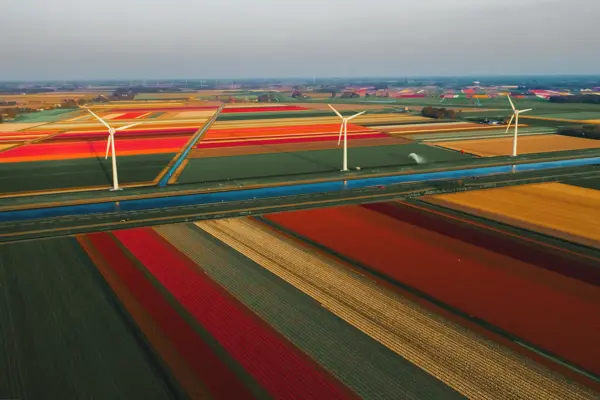Home Swap The Netherlands - From Windmills to Wi-Fi - A Wonderful Blend 📸