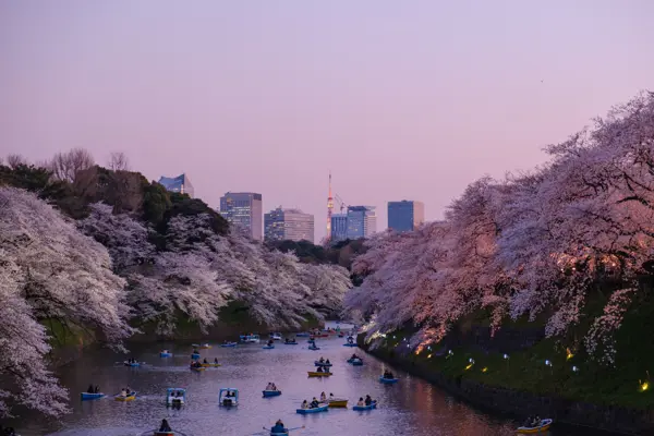 Home Swap Tokyo - Take a Stroll through the Gardens