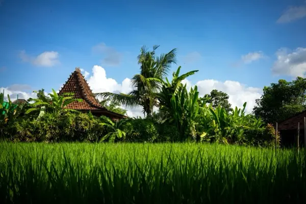 Home Swap Ubud - Stay Productive While Surrounded by Nature