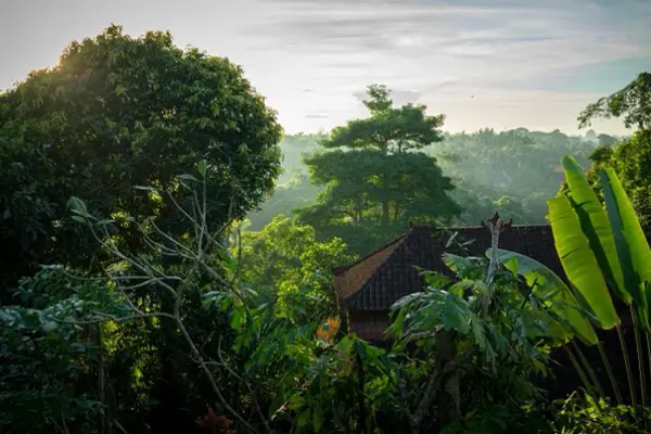 Home Swap Ubud - How to Get There and Popular Areas in Ubud