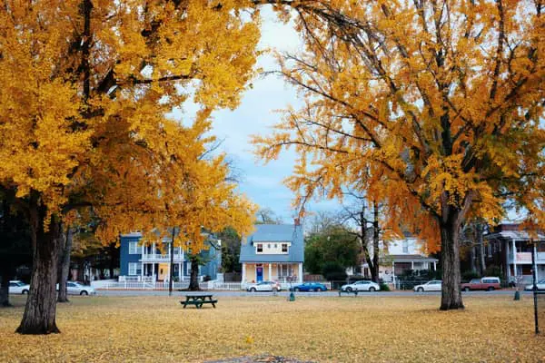 Home Swap Virginia - Seasons That Shape the Trip
