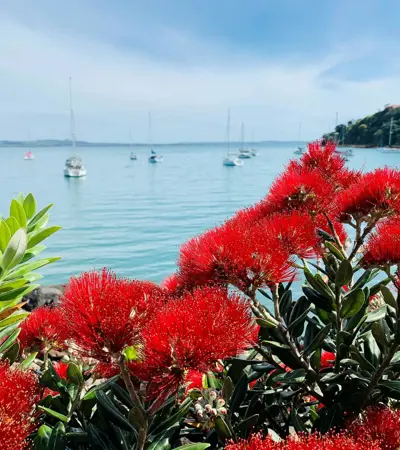 house swap in waiheke-island
